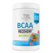 Bodyperson Labs BCAA Recovery 500 г Watermelon 2022-09-0134 фото 1