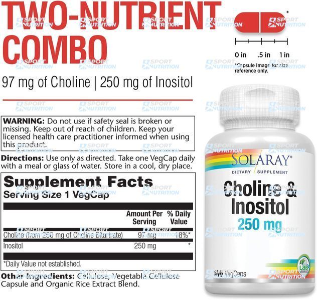 Холин и инозитол Solaray Choline & Inositol 250 мг 100 капсул 2023-10-2386 фото