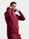 Худи Trec Wear Basic Hoodie 123 L Burgundy 819575 фото