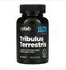 Бустер тестостерону VPLab Tribulus Terrestris 90 капсул 2022-10-0281 фото 1