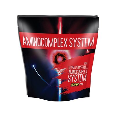 Power Pro Amino Comlex System 500 г Cranberry 2022-10-1764 фото