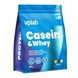 Сывороточный протеин и мицеллярный казеин VPLab Casein & Whey 500 г Vanilla 2022-10-0480 фото 1