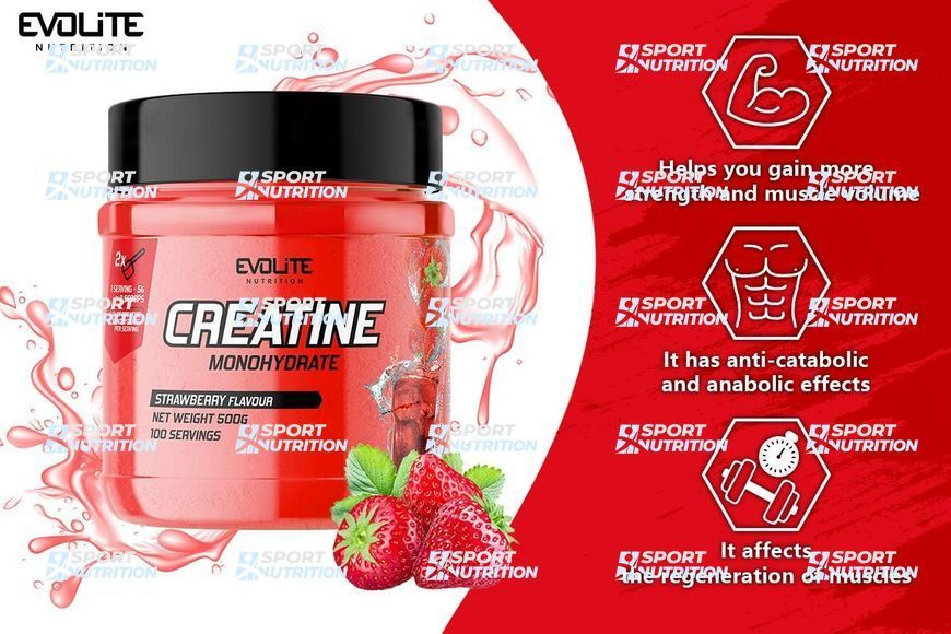 Creatine Monohydrate (500 g) 22159-03 фото