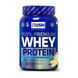 Протеїни USN 100% Premium Whey Protein 908 г Banana Cream 05500-01 фото 1