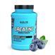 Креатин моногідрат Evolite Nutrition Creatine Monohydrate 1000 г Blueberry 22161-05 фото 1