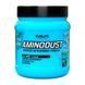 Комплекс амінокислот Evolite Nutrition AminoDust 474 г Ice Candy  22181-05 фото 1