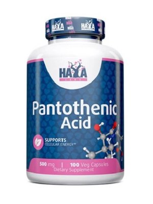 Пантотенова кислота Haya Labs Pantothenic Acid 500 мг 100 капсул 820441 фото