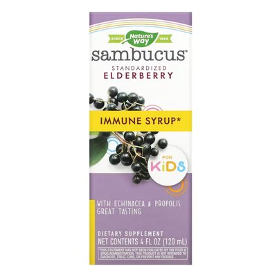 Иммунный сироп из бузины и эхинацеи для детей Sambucus Immune Syrup For Kids 120 мл 2022-10-1105 фото