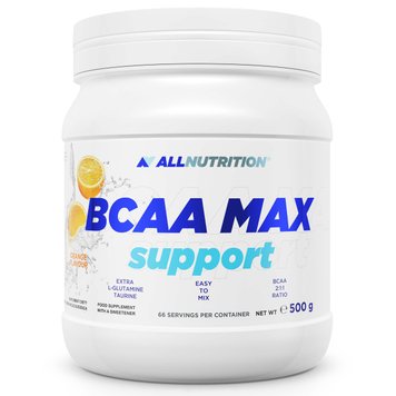 AllNutrition BCAA Max Support 500 г Orange 100-90-1205808-20 фото