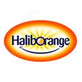 HalibOrange