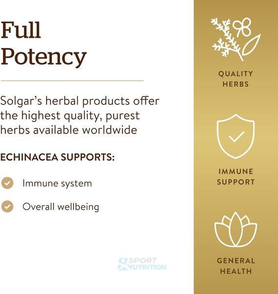 Ехінацея Solgar Echinacea Full Potency Herbs 100 капсул 2022-10-2993 фото