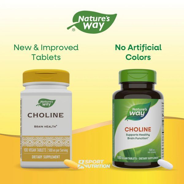 Холін Nature's Way Choline 500 мг 100 таблеток 2022-10-1077 фото