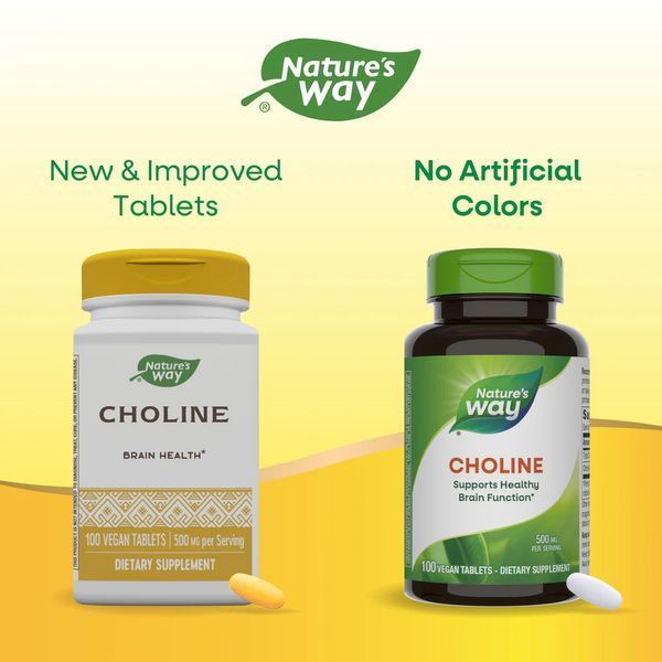 Холін Nature's Way Choline 500 мг 100 таблеток 2022-10-1077 фото