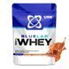 Blue Lab 100% Whey Premium Protein (476 g) 21991-07 фото 1