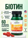 Біотин Swanson Biotin High Potency 10000 мкг 60 капсул 23916-01 фото 1